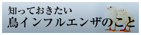 鳥インフルエンザQ&A